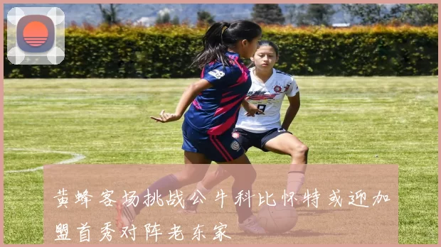 黄蜂客场挑战公牛科比怀特或迎加盟首秀对阵老东家